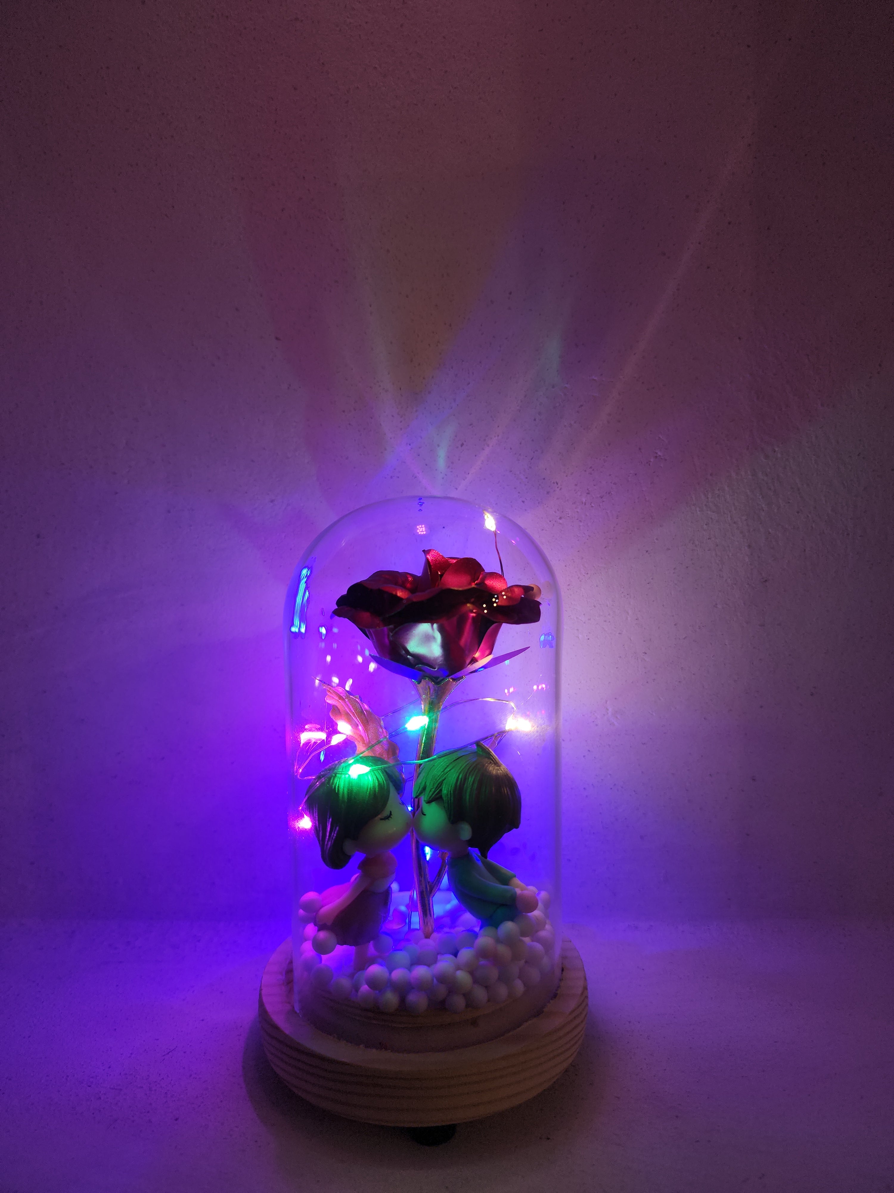 ROSAS DE AMOR ETERNO CON LED